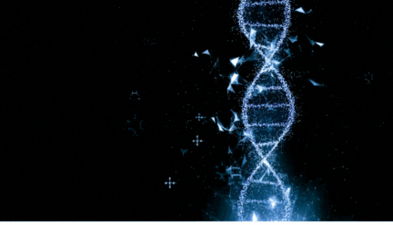 Cutting Medical Research Funding: Bad Idea, Even If You Don’t Care About Politics