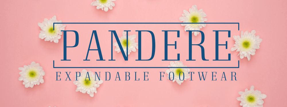 Pandere logo with daisies
